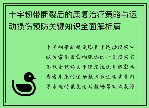 十字韧带断裂后的康复治疗策略与运动损伤预防关键知识全面解析篇